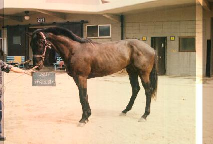 ���Ŭ���� ����