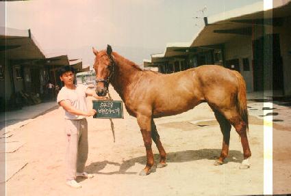 �ٶ������� ����