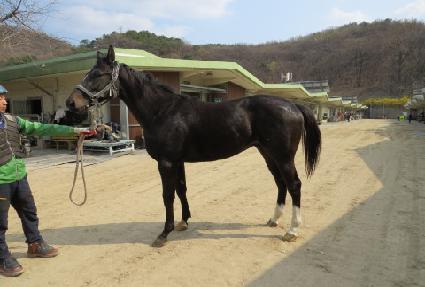 ����ŷ�� ����