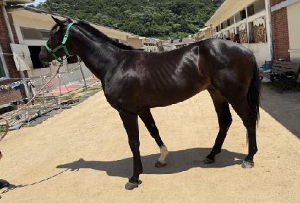 Ž���� ����