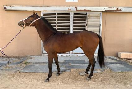 �ο�ũ������ ����