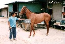 �¼� (MAT SOO) ����