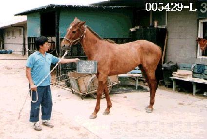 �¼� ����