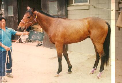 ���� ����