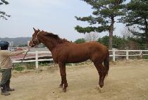 �̾��۽�Ʈ (EAN FIRST) ����