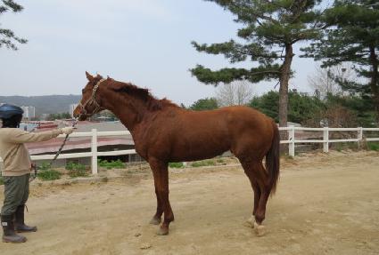 �̾��۽�Ʈ ����