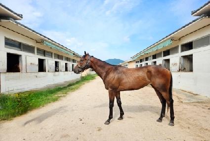 ���� ����