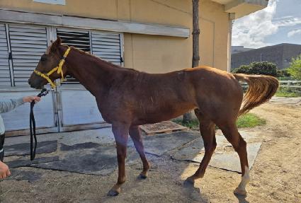 �ݺ� ����