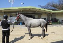 ��� (YONGBIGYO) ����