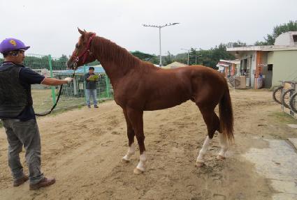 ������� ����