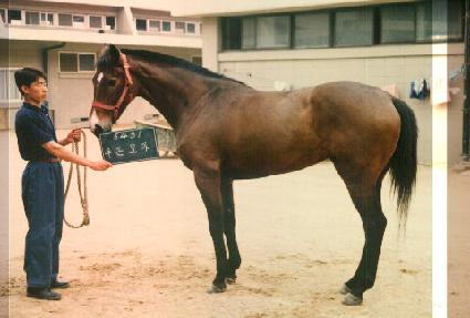 �μո�� ����