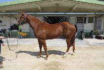 ȭ�������� (HWARYEOHAN YUSAN) ����