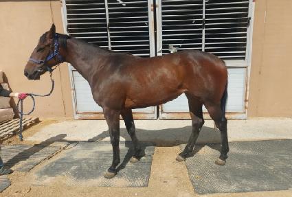 �������� ����