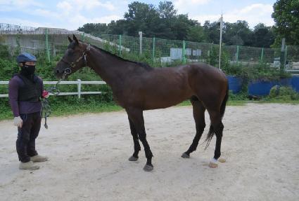 �Ҵ����� ����