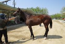 ȭ������ũ (HWARYEOHAN PARK) ����