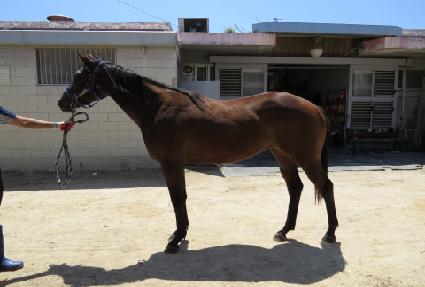 Ư�ޱ�� ����