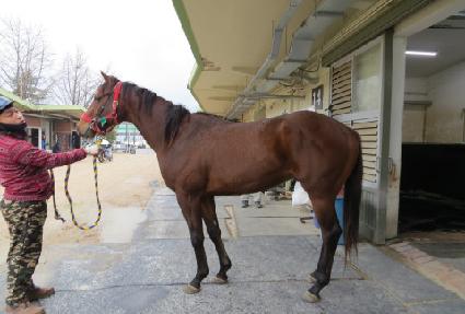 �ް����� ����