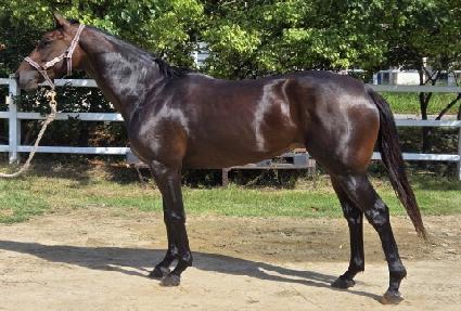 �̱۸��� ����