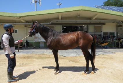 ����Ʈĳ�� ����