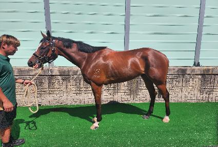 ����ġ�н� ����