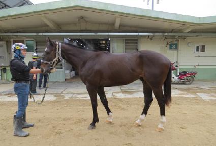 �������̿� ����