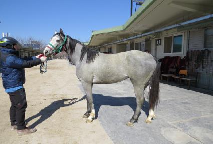 �����̺��ü ����