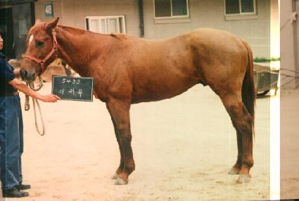 ��� ����