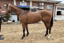 �н�Ʈ�� (FAST MAN) ����