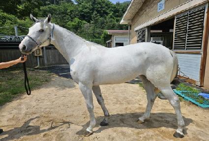 ���� ����