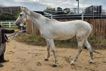 ����Ʈ�Ŀ� ����