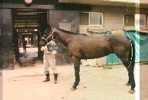 �뼭�� (DAE SEU YANG) ����