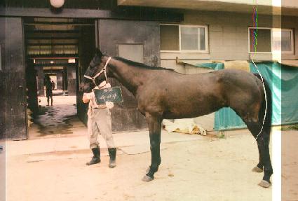 �뼭�� ����