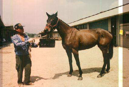 Ǫ����ȣ�� ����