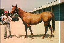 ��Ʋ�� (BE TEUL GA) ����