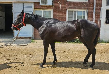 ��Ʈ������ ����