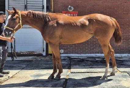 �������� ����