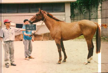 ��� ����