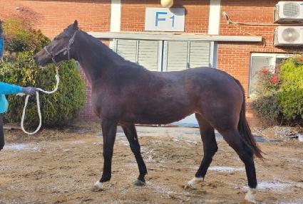 �ٶ��� ����