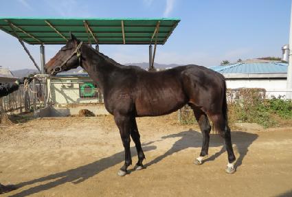 ������� ����