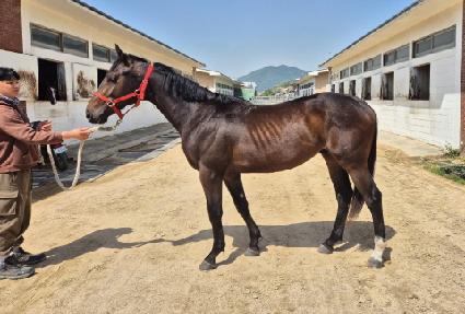 �ι��̽�Ÿ ����