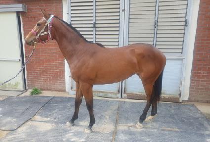 �¾��ǺҺ� ����