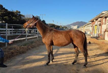 �ι��̱�� ����