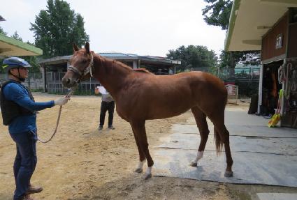 ��ٳ��� ����