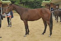 ���̽�ǻ�� (NICE FURY) ����