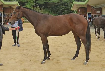 ���̽�ǻ�� ����