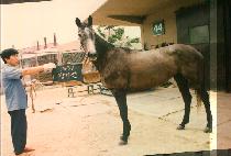 ����� (JANG GI JEUN) ����