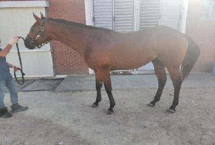 ���߳� ����