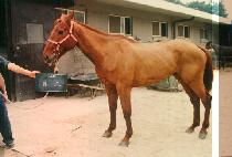 ���� (KWANG DO) ����