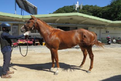 ũ������ ����