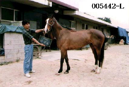 ������ ����